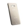 Samsung Galaxy S8 Baksida/Batterilucka - Guld