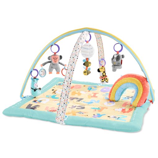 Skip Hop ABC&Me Babygym