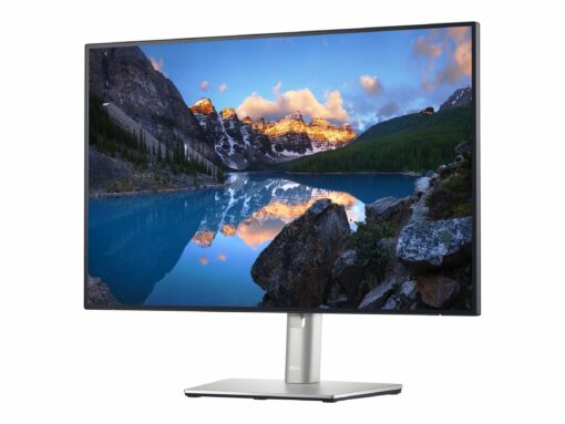 dell ultrasharp u2421e 241 1920 x 1200 hdmi displayport usb c 60hz pivot skaerm 1