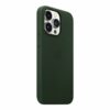apple beskyttelsescover sequoia gron apple iphone 13 pro 1