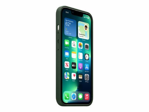 apple beskyttelsescover sequoia gron apple iphone 13 pro