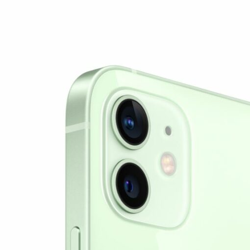 Begagnad iPhone 12 Mini 256GB Grön Nyskick