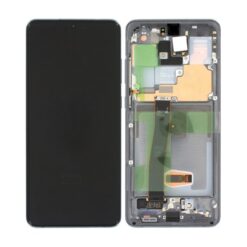 Samsung Galaxy S20 Ultra (SM G988F) Skärm med LCD Display Original Grå