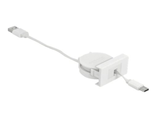 DeLOCK Easy USB 2.0 USB Type C kabel 50cm Hvid