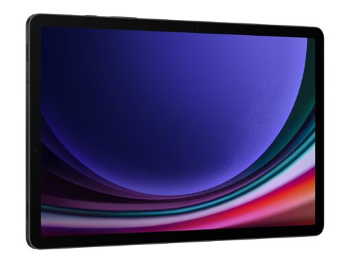 Samsung Galaxy Tab S9 11" 256GB 12GB Sort