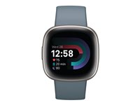 Fitbit Versa 4 40 mm Blå Sølv Smart ur