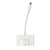 USB-C till Ethernet OTG Adapter