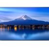Sharp - 60005911 - Sharp P436, 43" P-Series LFD, UHD 4K (3840x2160), Brightness 700cd/m2, Contrast 1200:1, E-LED, Pro Haze (25), 24/7, SDM Slot, CM-Slot