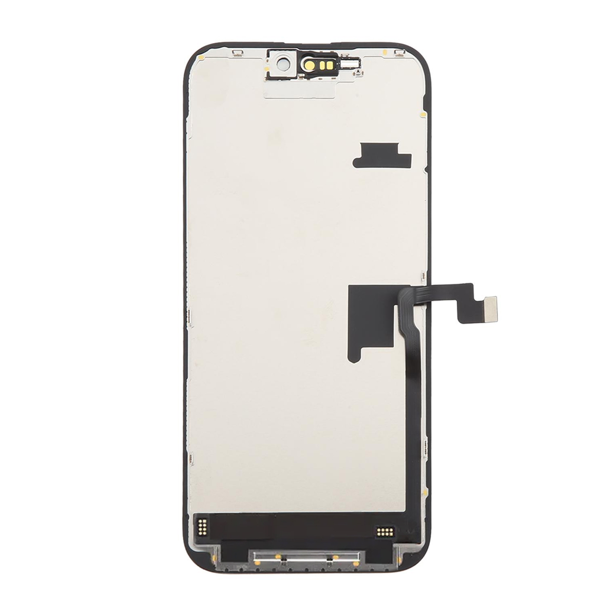 275 12.jpg