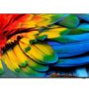 Philips 43HFL6214U/12 4K Android hotell-TV sedd rakt framifrån